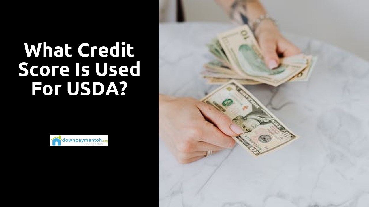 What credit score is used for USDA?